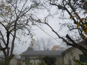 Winter Solstice