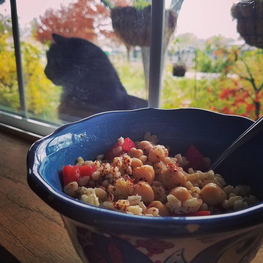 Good Food is the Greatest Gift